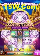 Bônus de Boas-vindas 79X Game